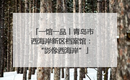 一馆一品丨青岛市西海岸新区档案馆：“影像西海岸”