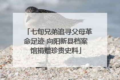 七旬兄弟追寻父母革命足迹 向阳新县档案馆捐赠珍贵史料