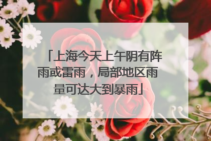 上海今天上午阴有阵雨或雷雨，局部地区雨量可达大到暴雨