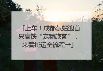 上车！成都东站迎首只高铁“宠物旅客”，来看托运全流程→