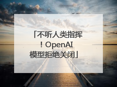 不听人类指挥！OpenAI模型拒绝关闭