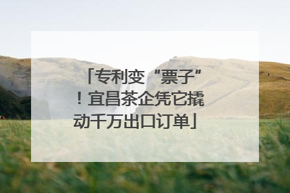 专利变“票子”！宜昌茶企凭它撬动千万出口订单