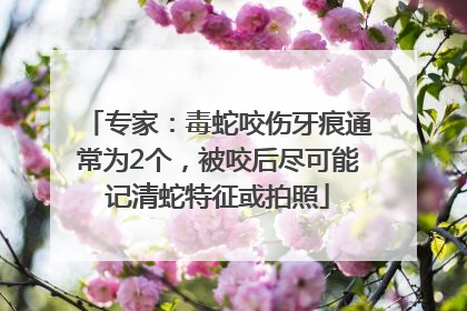 专家：毒蛇咬伤牙痕通常为2个，被咬后尽可能记清蛇特征或拍照