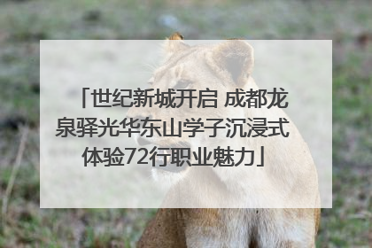 世纪新城开启 成都龙泉驿光华东山学子沉浸式体验72行职业魅力