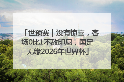 世预赛｜没有惊喜，客场0比1不敌印尼，国足无缘2026年世界杯