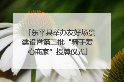 东平县举办友好场景建设暨第二批“骑手爱心商家”授牌仪式