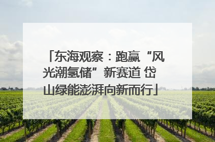 东海观察：跑赢“风光潮氢储”新赛道 岱山绿能澎湃向新而行