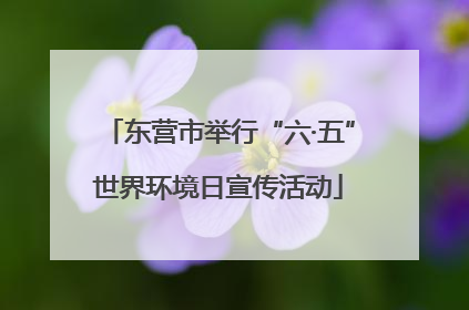 东营市举行“六·五”世界环境日宣传活动