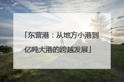 东营港：从地方小港到亿吨大港的跨越发展