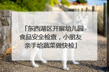 东西湖区开展幼儿园食品安全检查，小朋友亲手给蔬菜做快检