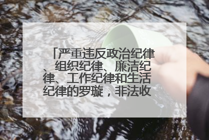 严重违反政治纪律、组织纪律、廉洁纪律、工作纪律和生活纪律的罗璇，非法收受他人巨额财物