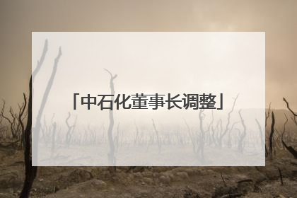 中石化董事长调整