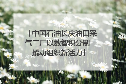 中国石油长庆油田采气二厂以数智积分制 撬动组织新活力