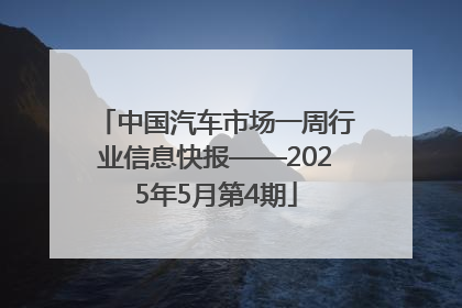 中国汽车市场一周行业信息快报——2025年5月第4期