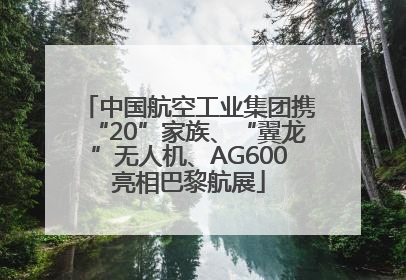 中国航空工业集团携“20”家族、“翼龙”无人机、AG600亮相巴黎航展