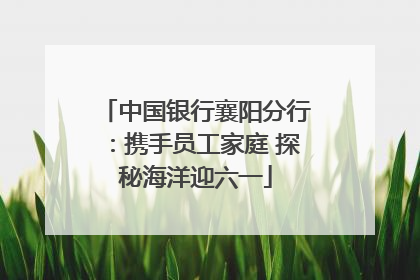 中国银行襄阳分行：携手员工家庭 探秘海洋迎六一