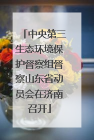 中央第三生态环境保护督察组督察山东省动员会在济南召开