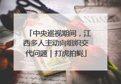 中央巡视期间，江西多人主动向组织交代问题｜打虎拍蝇