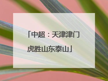 中超：天津津门虎胜山东泰山