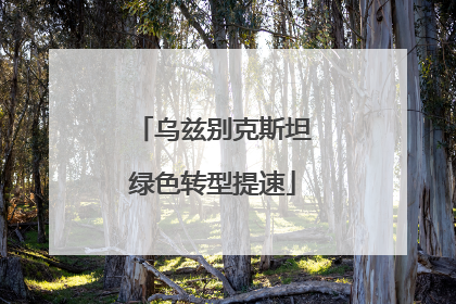 乌兹别克斯坦绿色转型提速