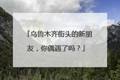 乌鲁木齐街头的新朋友，你偶遇了吗？