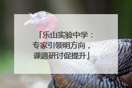 乐山实验中学：专家引领明方向，课题研讨促提升