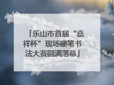 乐山市首届“嘉祥杯”现场硬笔书法大赛圆满落幕