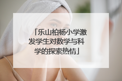 乐山柏杨小学激发学生对数学与科学的探索热情