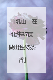 乳山：在北纬37度做出独特茶香