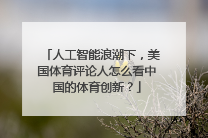 人工智能浪潮下，美国体育评论人怎么看中国的体育创新？
