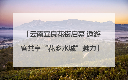 云南宜良花街启幕 邀游客共享“花乡水城”魅力