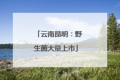 云南昆明:野生菌大量上市