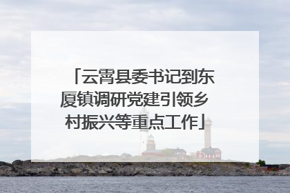 云霄县委书记到东厦镇调研党建引领乡村振兴等重点工作