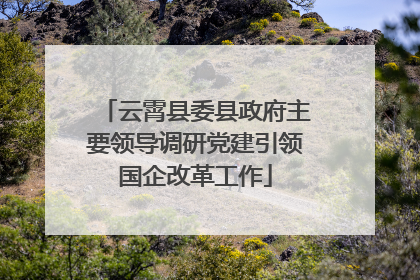 云霄县委县政府主要领导调研党建引领国企改革工作