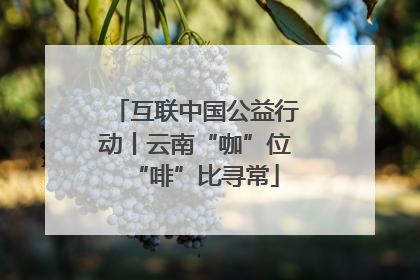 互联中国公益行动丨云南“咖”位“啡”比寻常