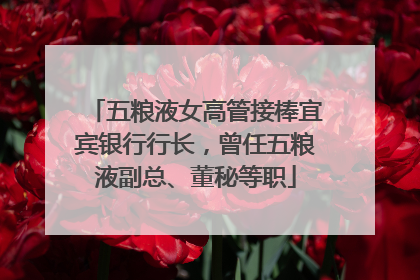 五粮液女高管接棒宜宾银行行长，曾任五粮液副总、董秘等职