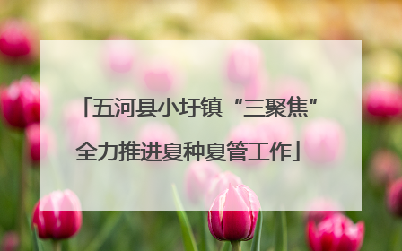 五河县小圩镇“三聚焦”全力推进夏种夏管工作