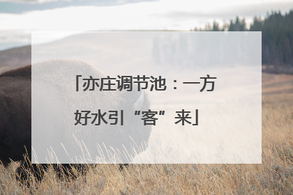 亦庄调节池：一方好水引“客”来