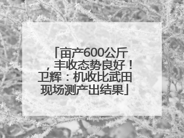 亩产600公斤，丰收态势良好！卫辉：机收比武田现场测产出结果