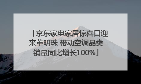 京东家电家居惊喜日迎来董明珠 带动空调品类销量同比增长100%