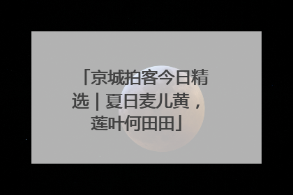 京城拍客今日精选｜夏日麦儿黄，莲叶何田田