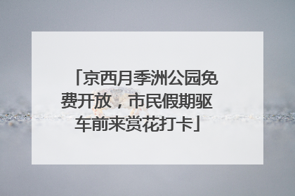 京西月季洲公园免费开放,市民假期驱车前来赏花打卡