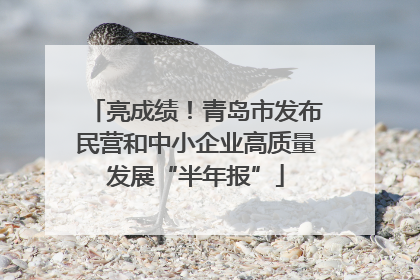 亮成绩！青岛市发布民营和中小企业高质量发展“半年报”