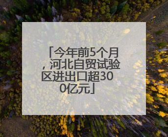 今年前5个月，河北自贸试验区进出口超300亿元