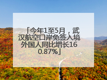 今年1至5月，武汉航空口岸免签入境外国人同比增长160.87%