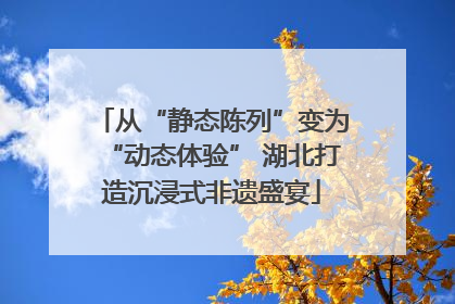从“静态陈列”变为“动态体验” 湖北打造沉浸式非遗盛宴