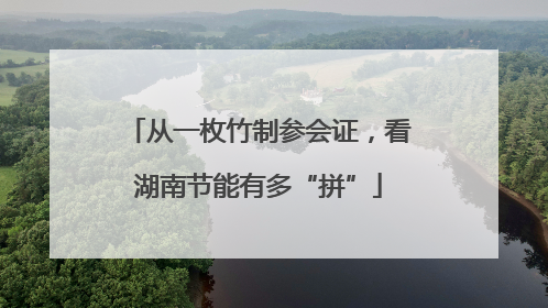 从一枚竹制参会证，看湖南节能有多“拼”