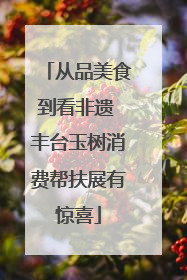 从品美食到看非遗 丰台玉树消费帮扶展有惊喜