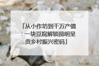 从小作坊到千万产值：一块豆腐解锁昆明呈贡乡村振兴密码