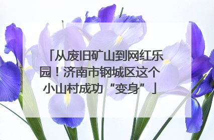 从废旧矿山到网红乐园！济南市钢城区这个小山村成功“变身”